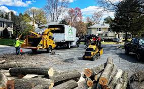 Best Tree Maintenance Programs  in Hydesville, CA