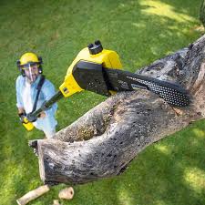 Best Pest Control for Lawns  in Hydesville, CA